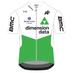 Team Dimension Data